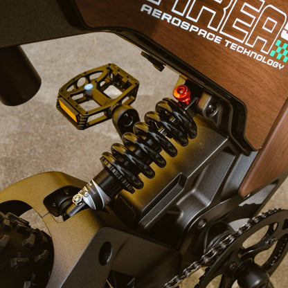 Benzina Zero Area51 electric bike rear shock suspension